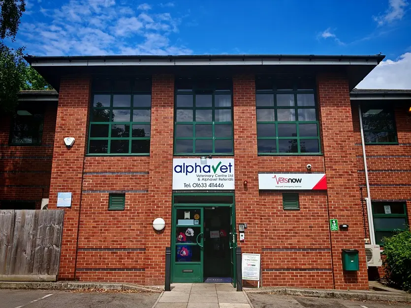 Exterior view of Vets Now Newport
