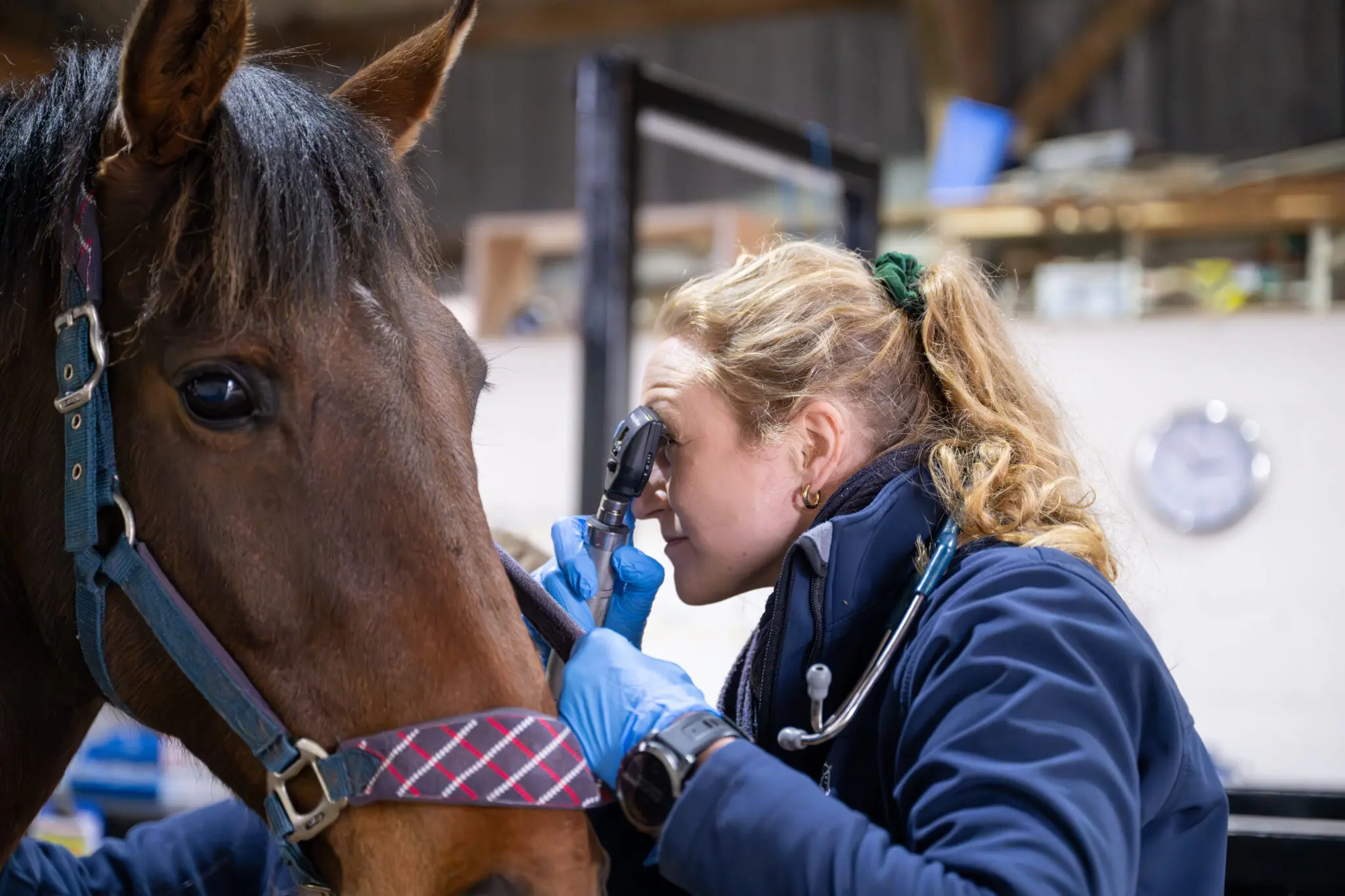 Dukes Equine Vets practice photo