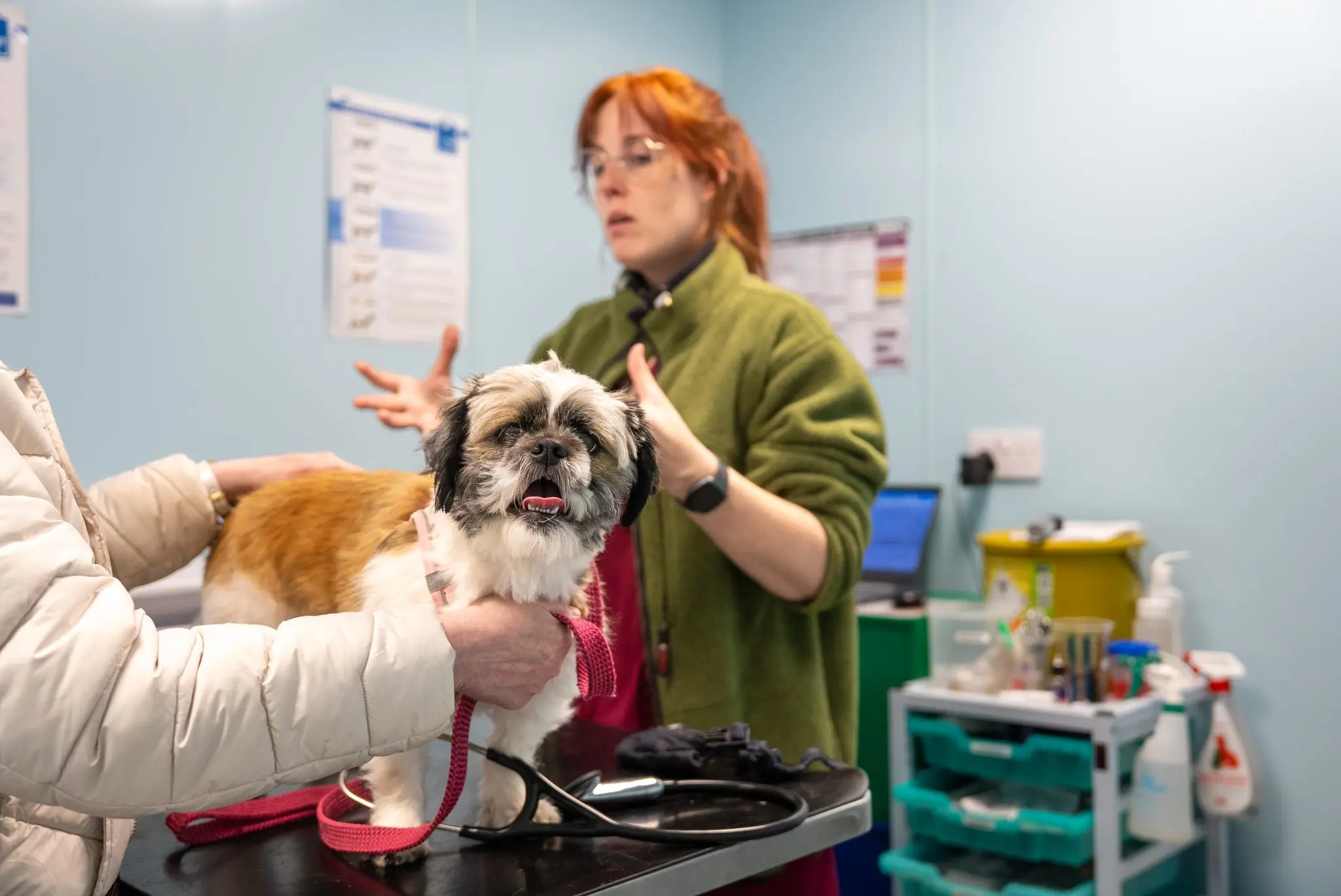 Wishing Well Veterinary Centre practice photo 3