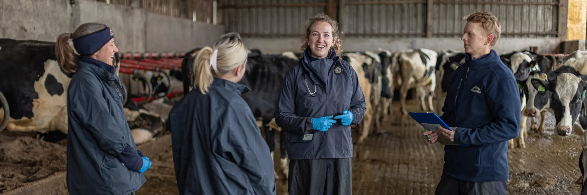 Bishopton Vets - Northallerton practice photo