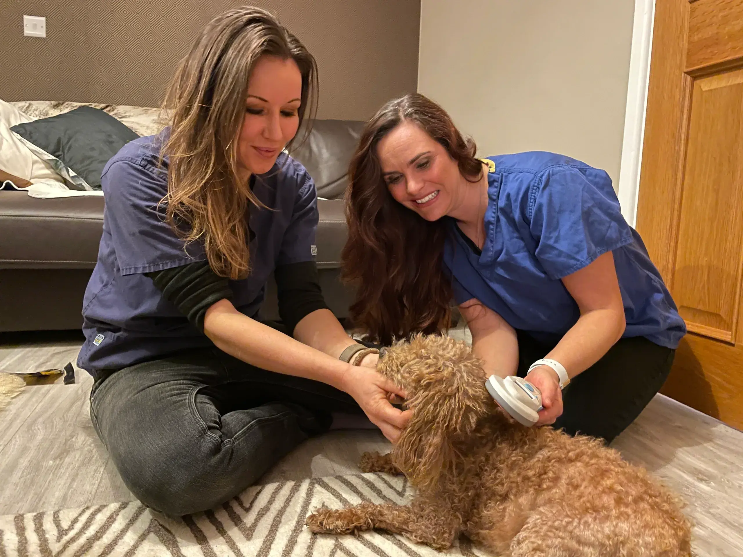 VetVisit practice photo