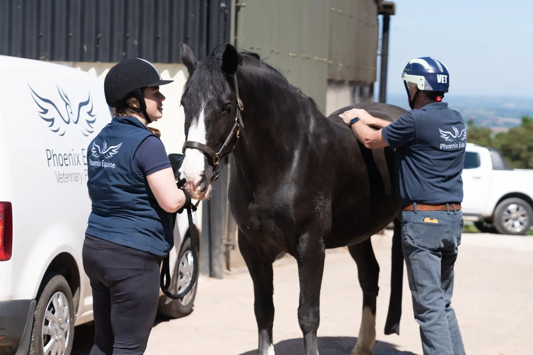 Phoenix Equine - Exeter practice photo