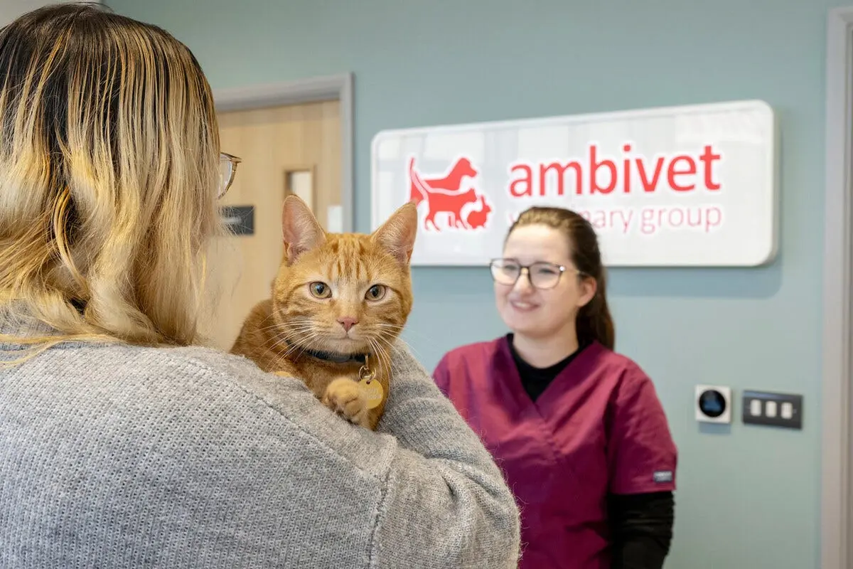 Ambivet Veterinary Group - Derby practice photo 2