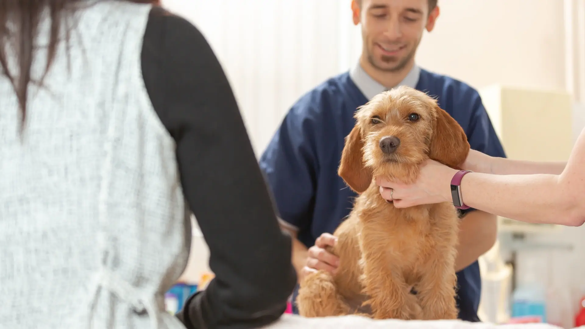 Riverside Veterinary Practice practice photo