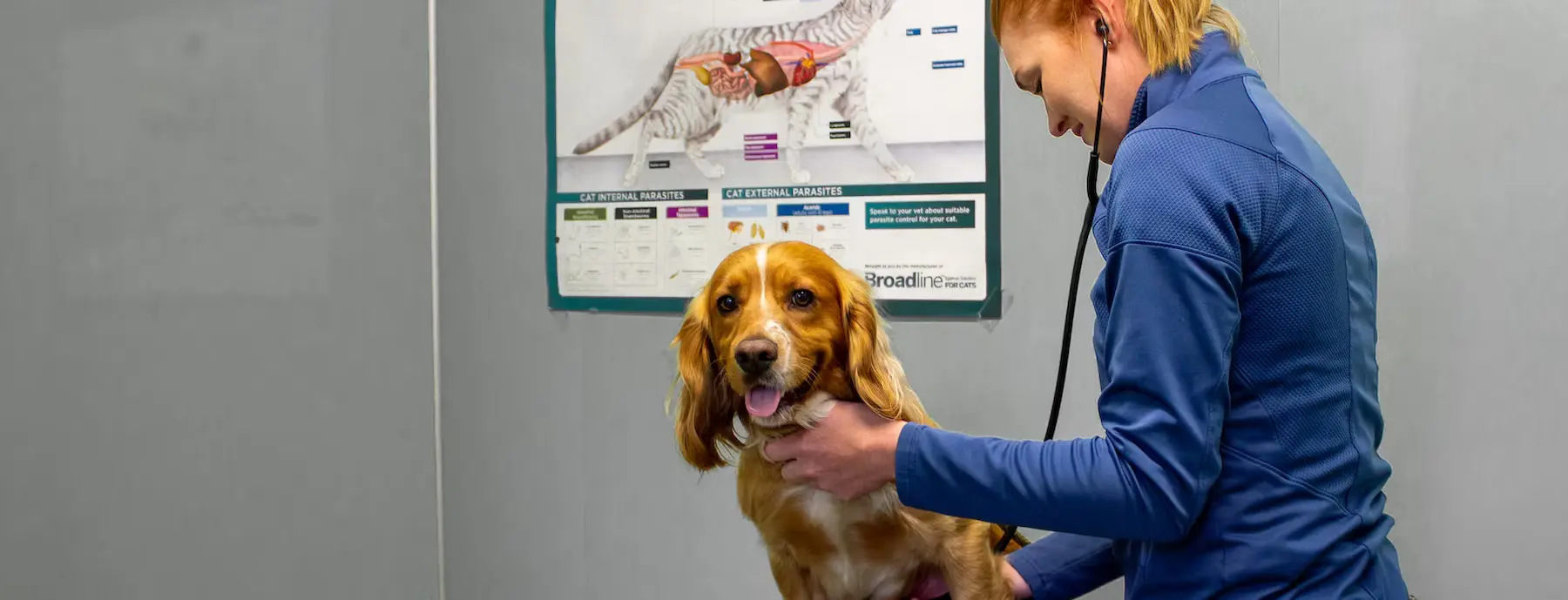 Firth Veterinary Centre practice photo