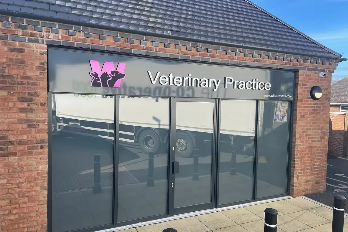 Wilson's Veterinary Practice practice photo