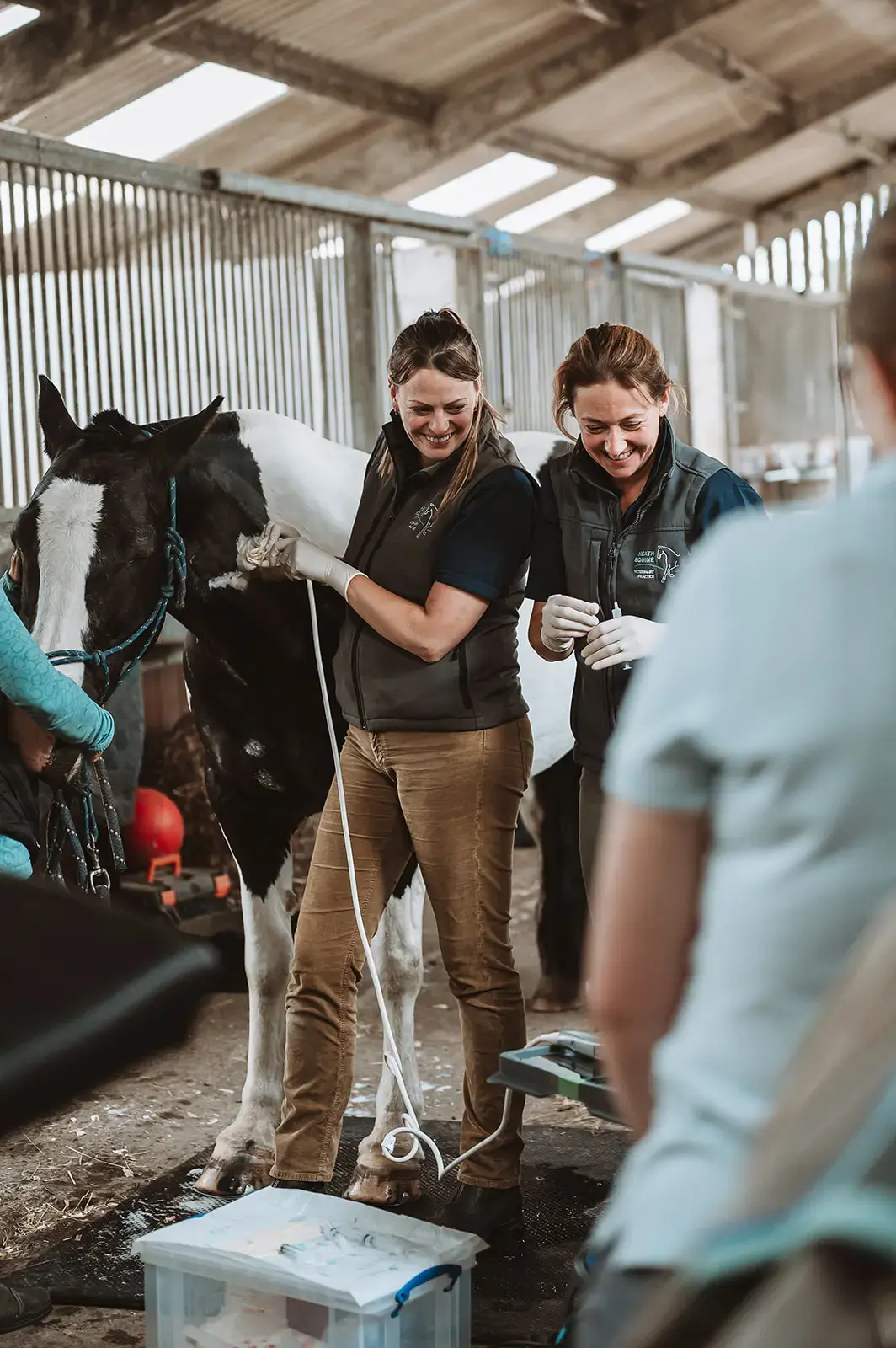 Heath Equine Veterinary Practice practice photo 3
