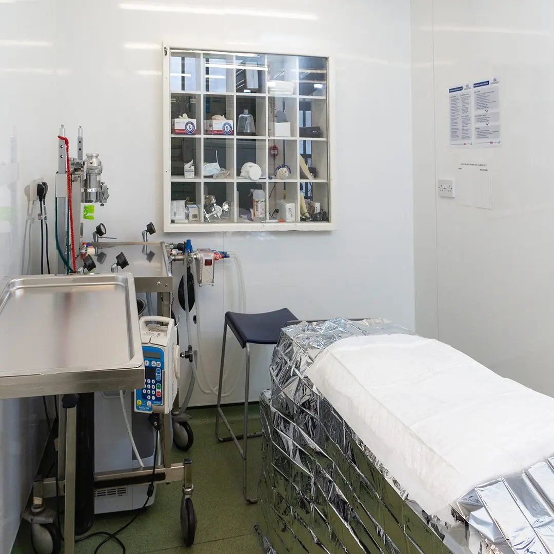 Facilities - Surgery 2