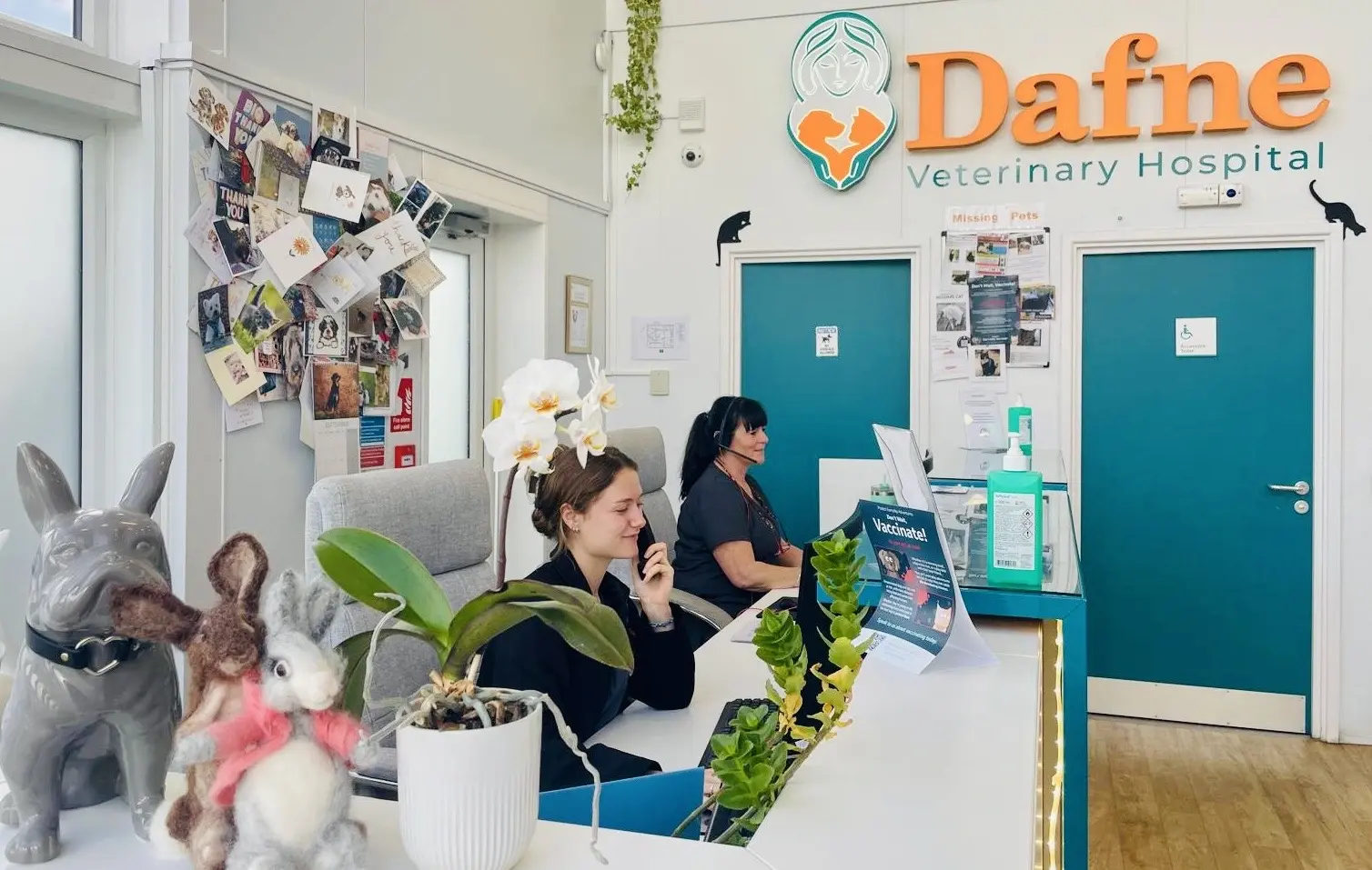 Dafne Veterinary Hospital practice photo