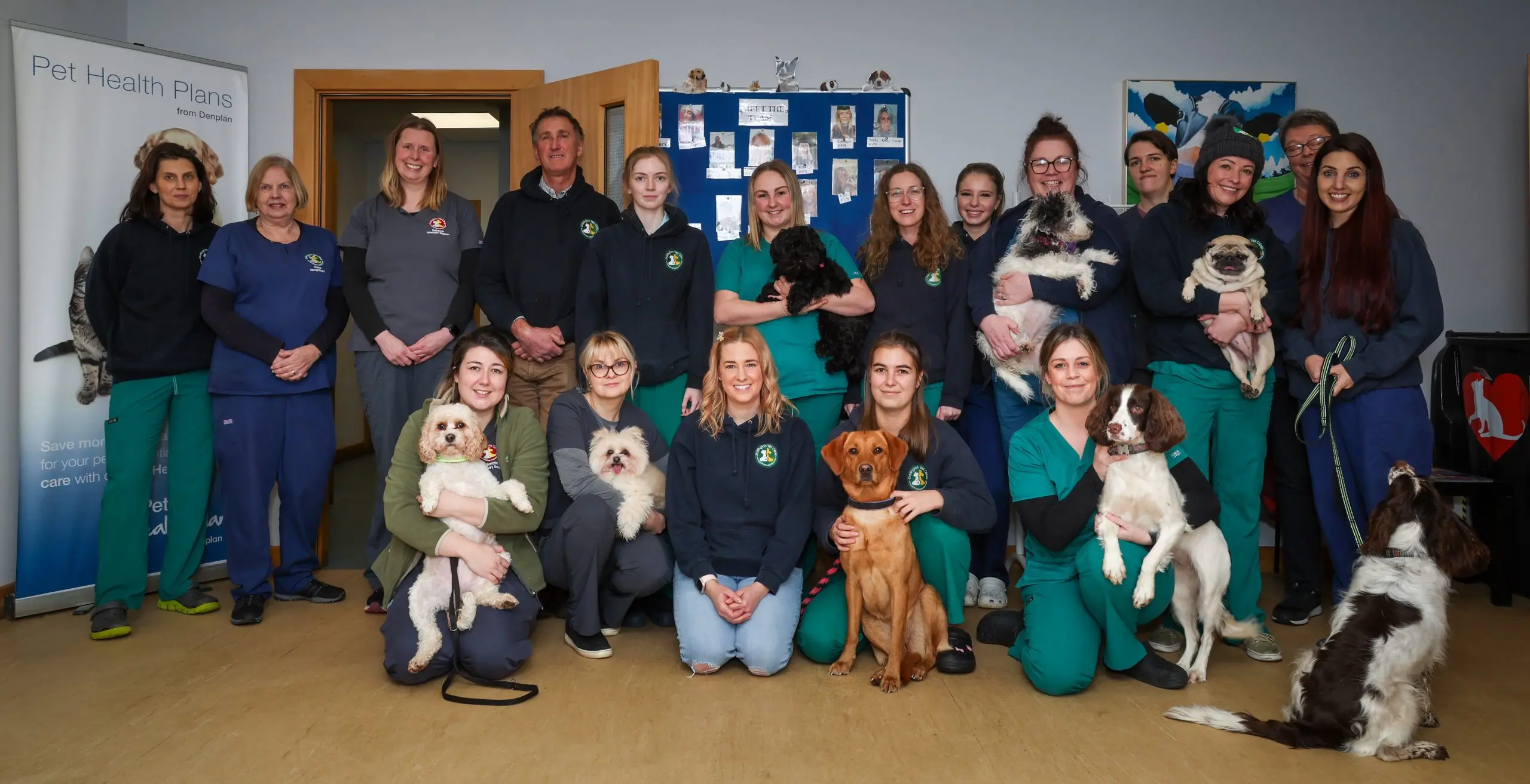Darlington VET Clinic - Saint Helen Auckland practice photo