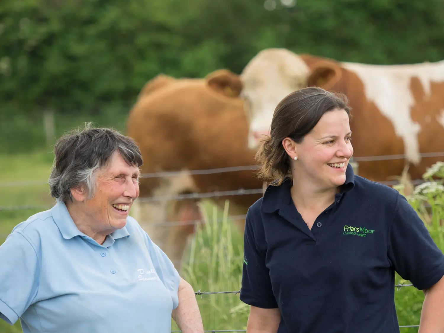 Friars Moor Livestock Health practice photo 5