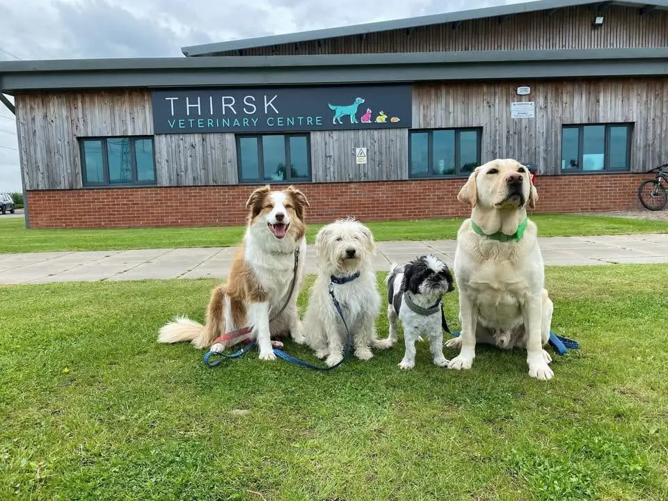 Thirsk Veterinary Centre practice photo