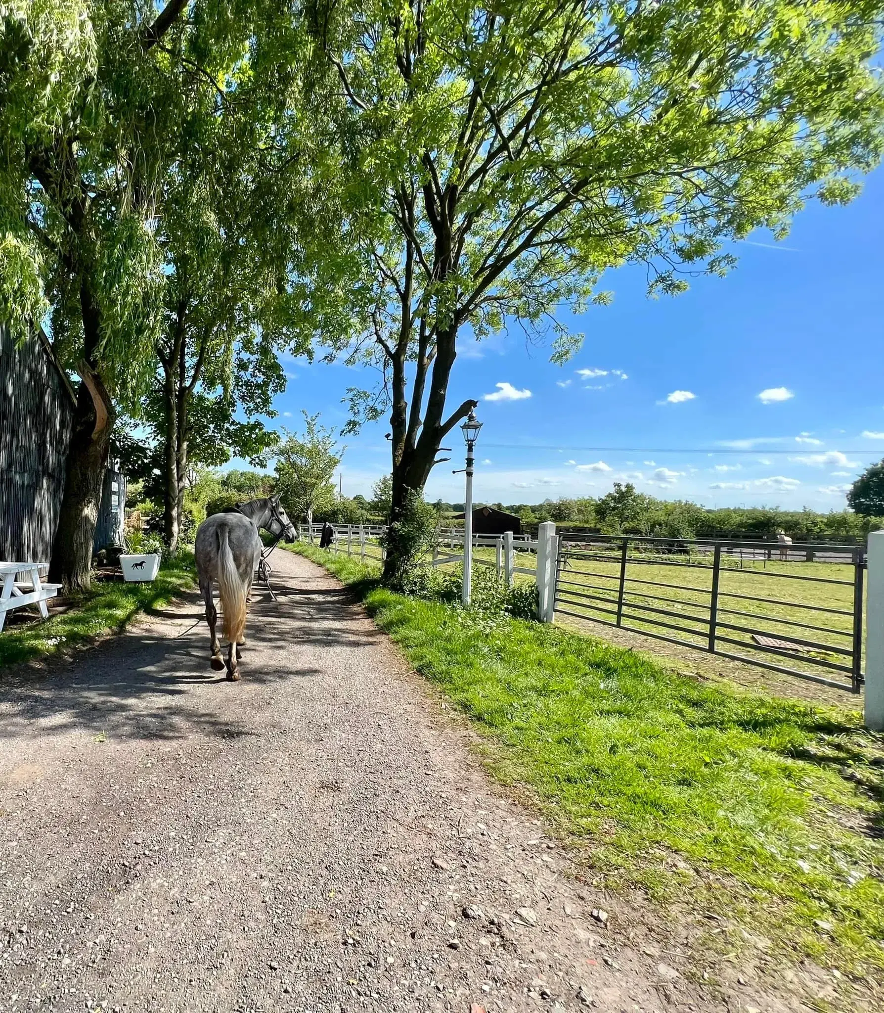 Pocket Nook Equine Vets practice photo