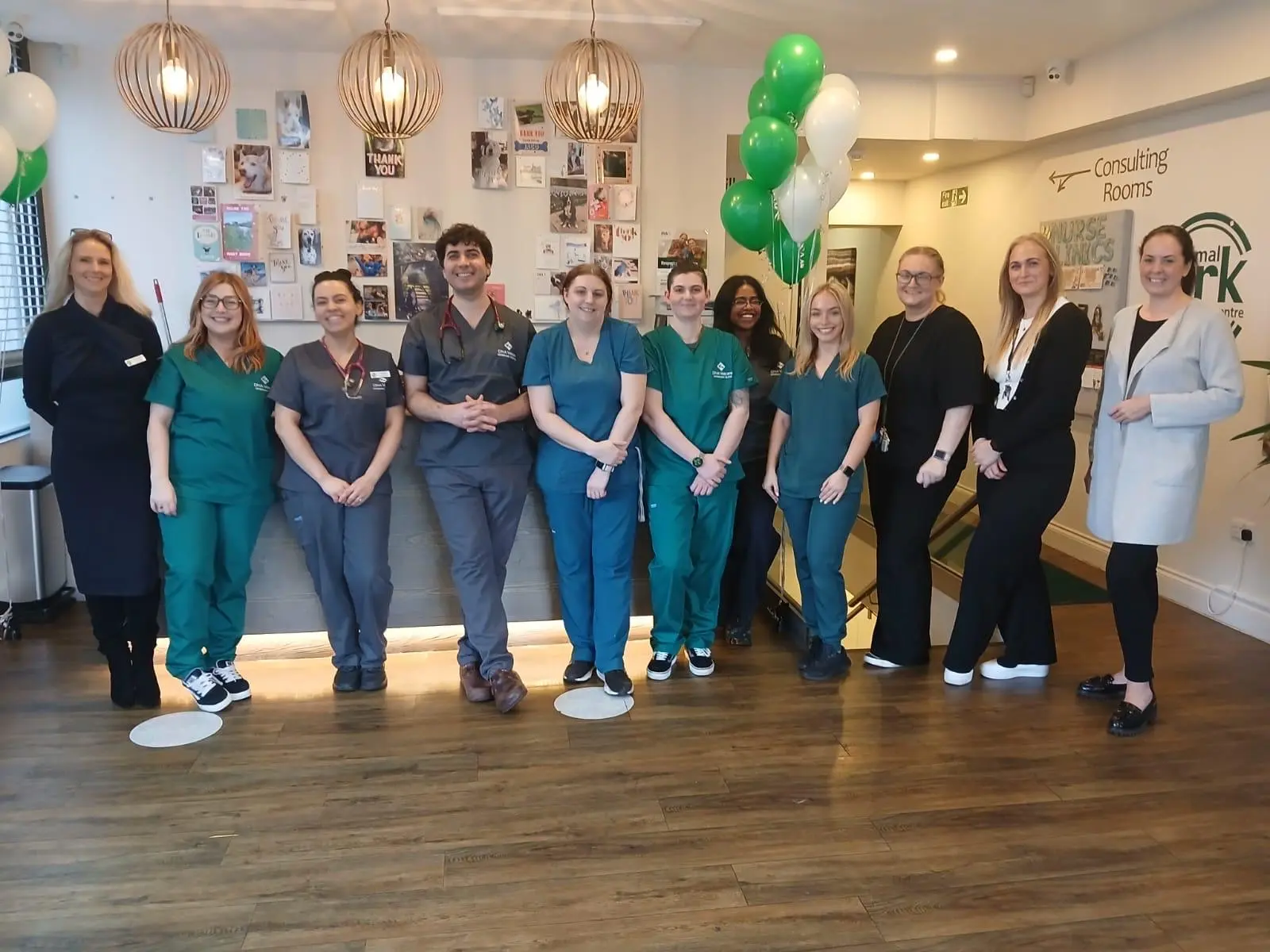 Vets in Ilford, Essex | Vets in East London | Vets in Goodmayes