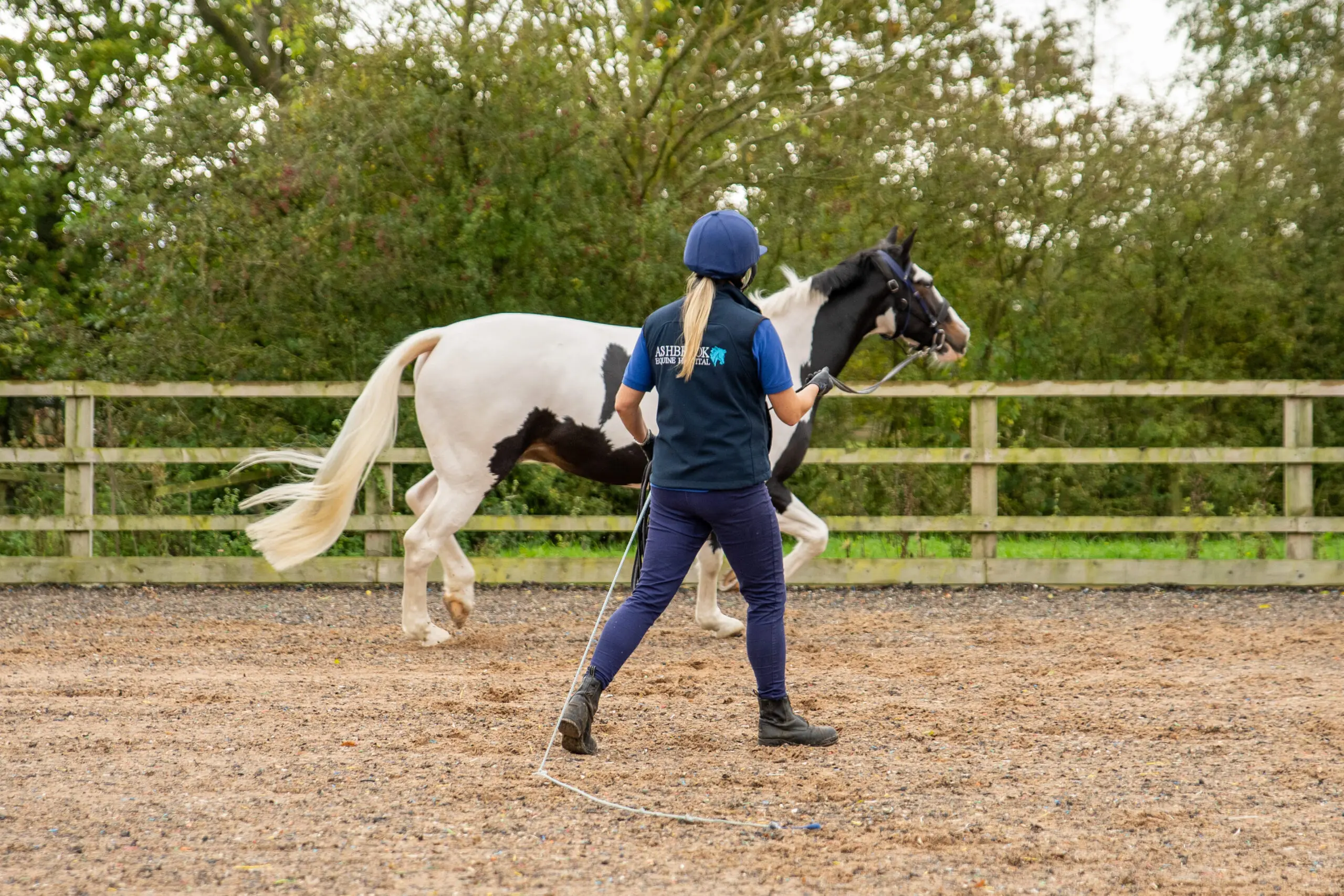 Ashbrook Equine Hospital (HQ Print)-00246