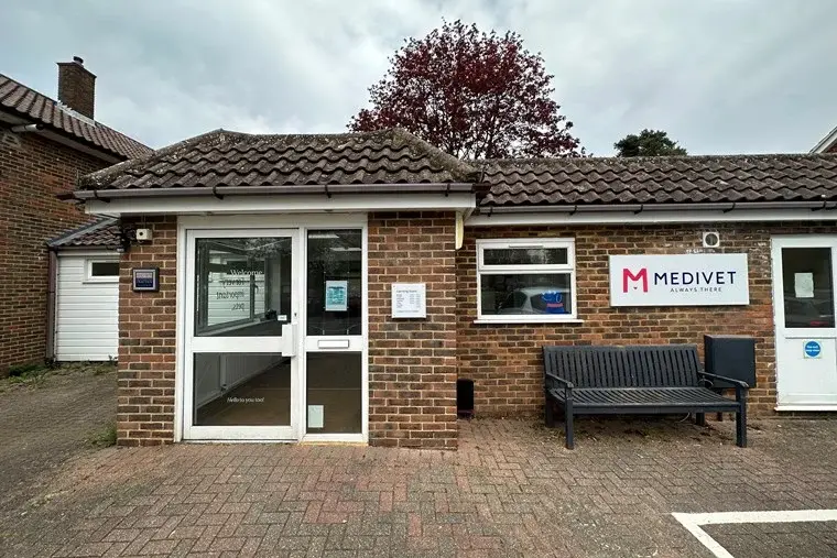 Medivet - Bracknell Easthampstead practice photo