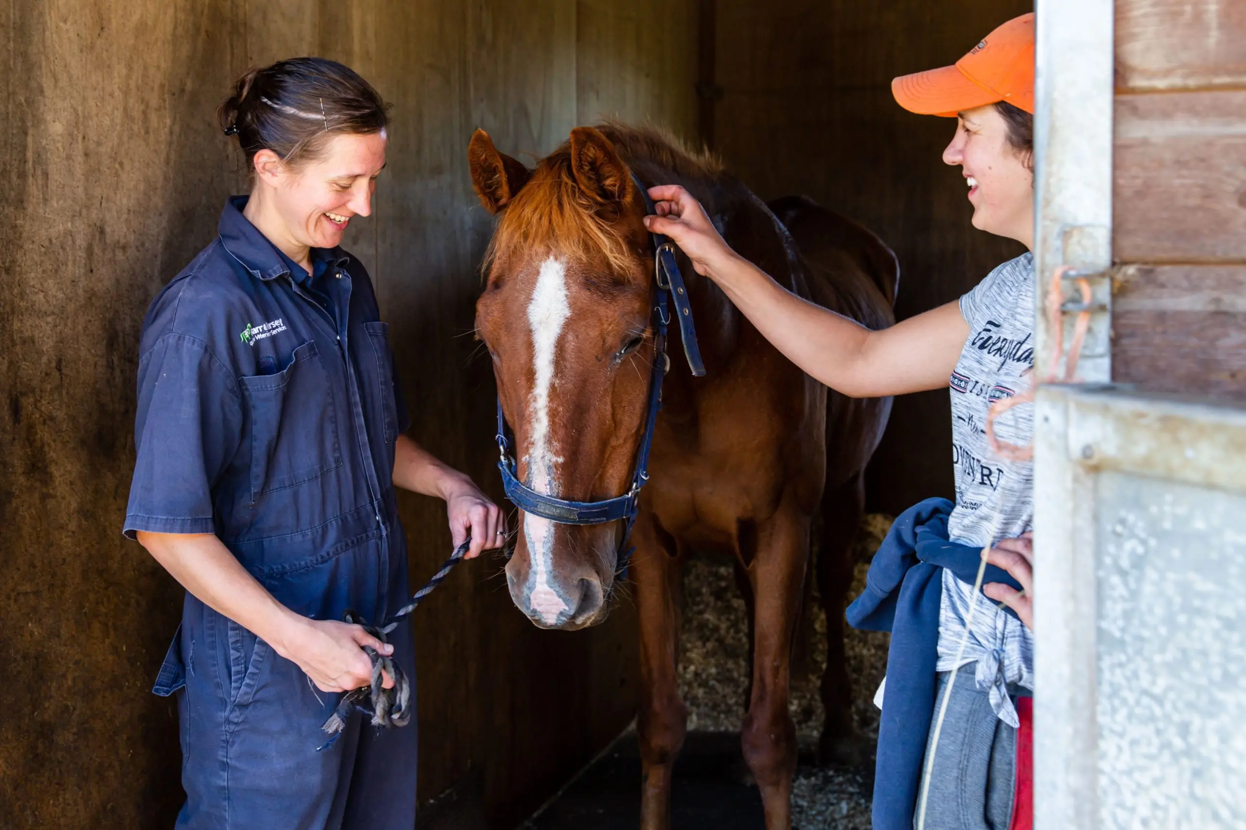Farr and Pursey Equine Veterinary Services practice photo