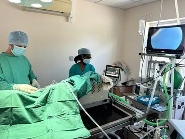 Medivet - Exeter Cranbrook (Cranbrook Veterinary Centre) practice photo 2