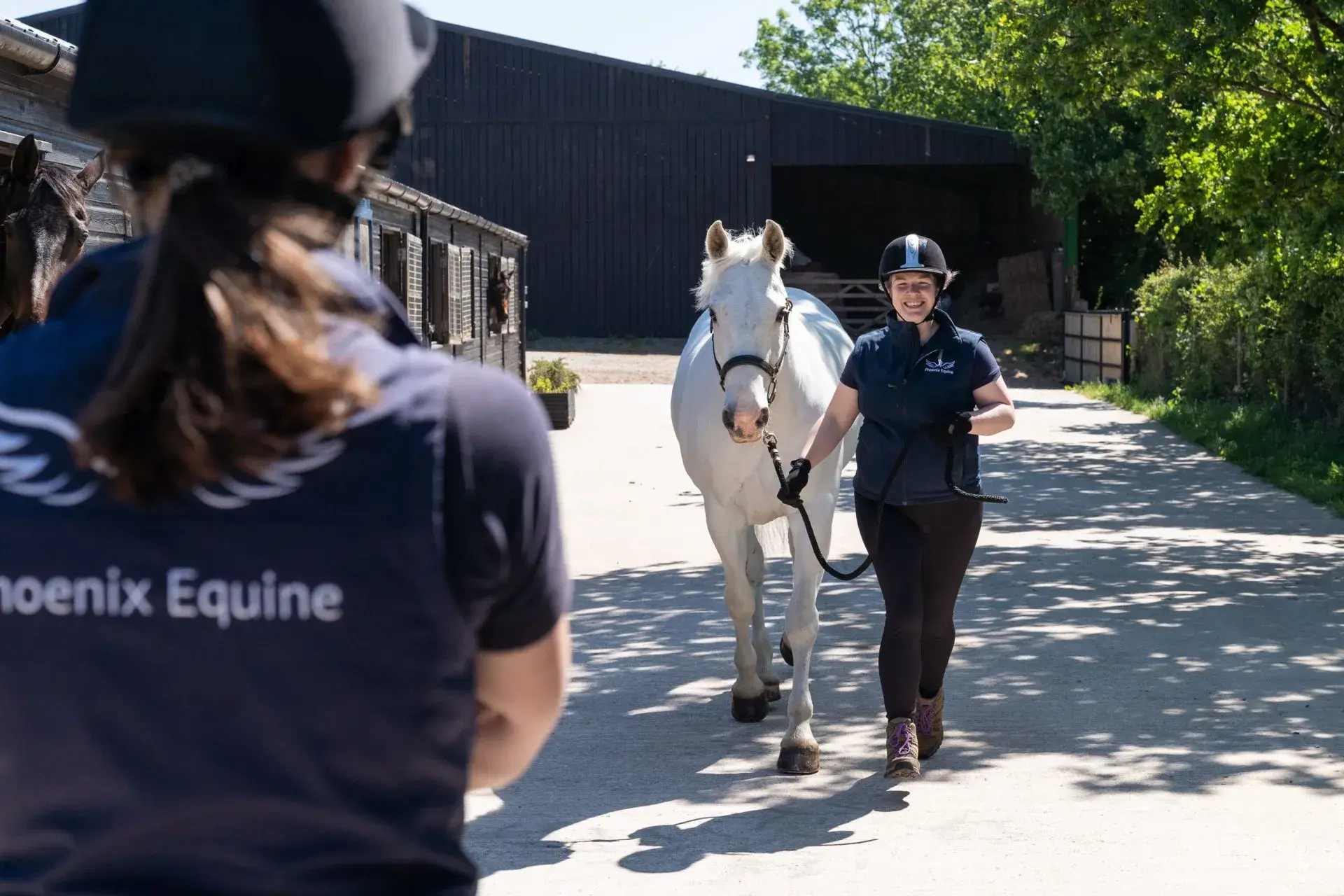 Phoenix Equine - Exeter practice photo 3
