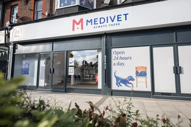 Medivet - 24 Hour Watford practice photo