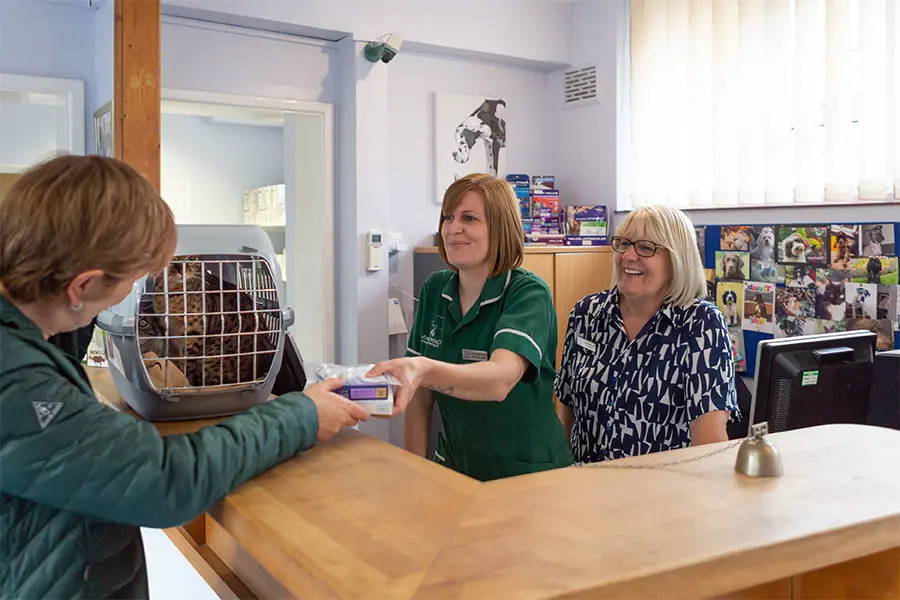 Christchurch Veterinary Surgery practice photo 3