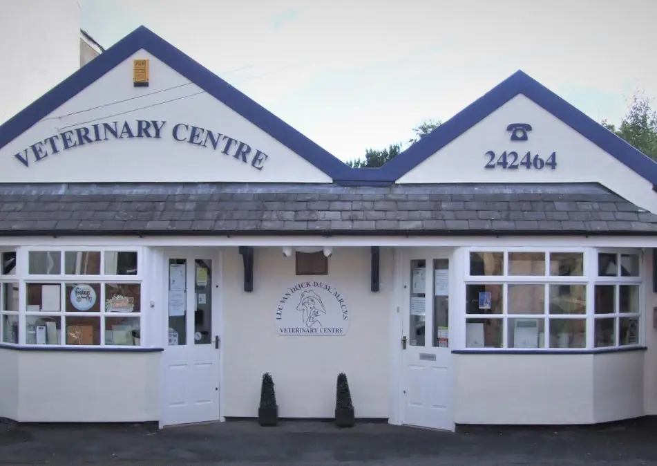 Luc Van Dijck Veterinary practice photo