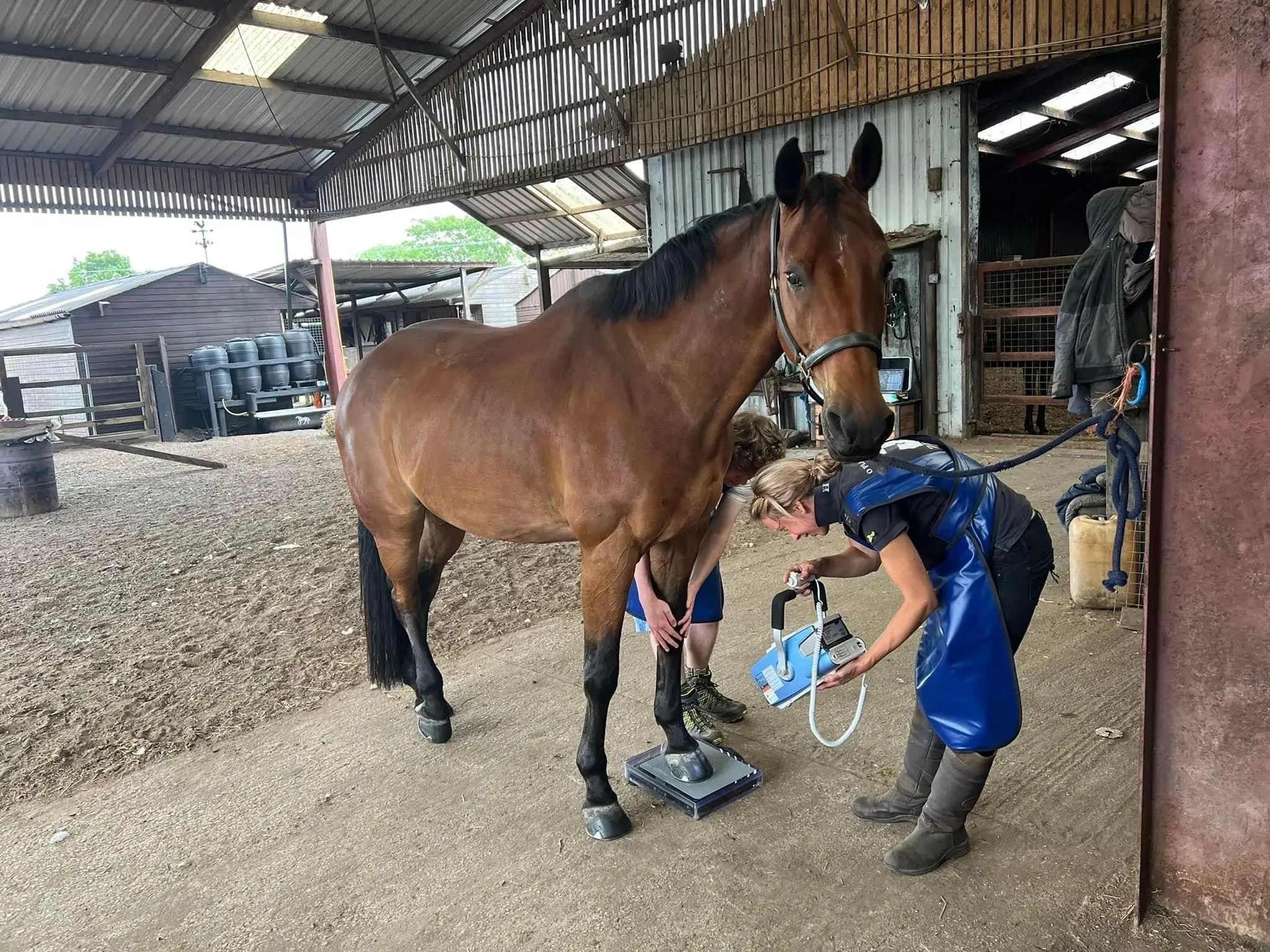 Pocket Nook Equine Vets practice photo 3