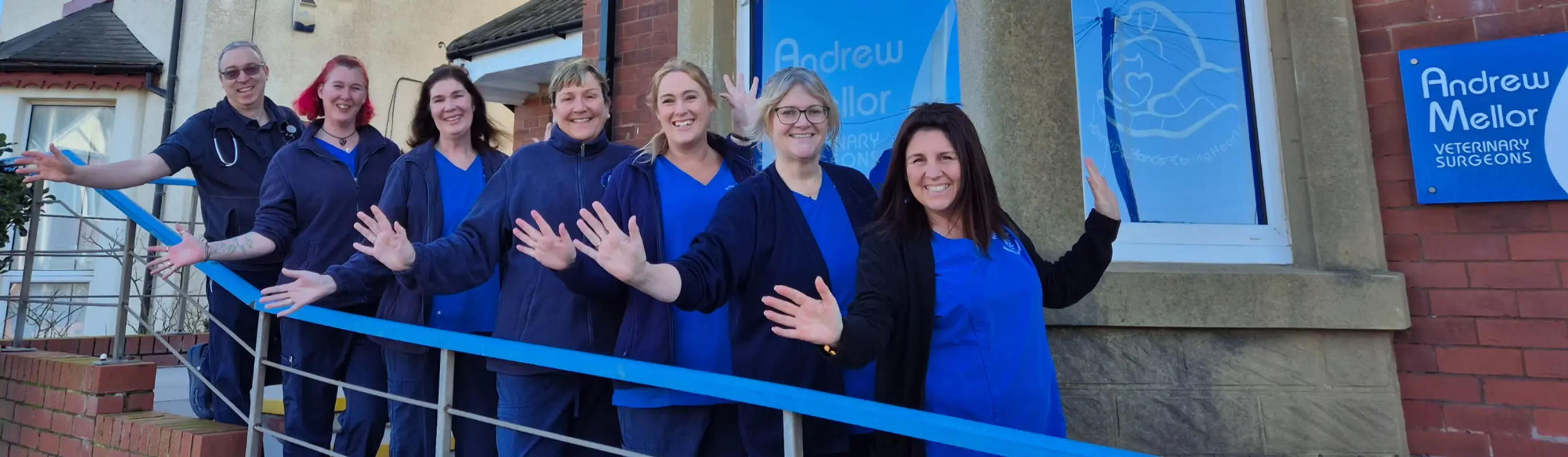 Andrew Mellor Veterinary Surgery practice photo