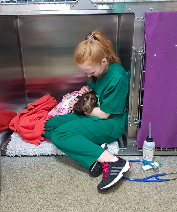 A+G Vets Nurse