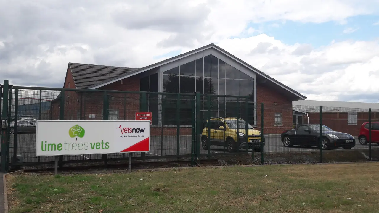 A brick veterinary clinic with large windows is behind a green fence. Three cars are parked in front. Signs read: