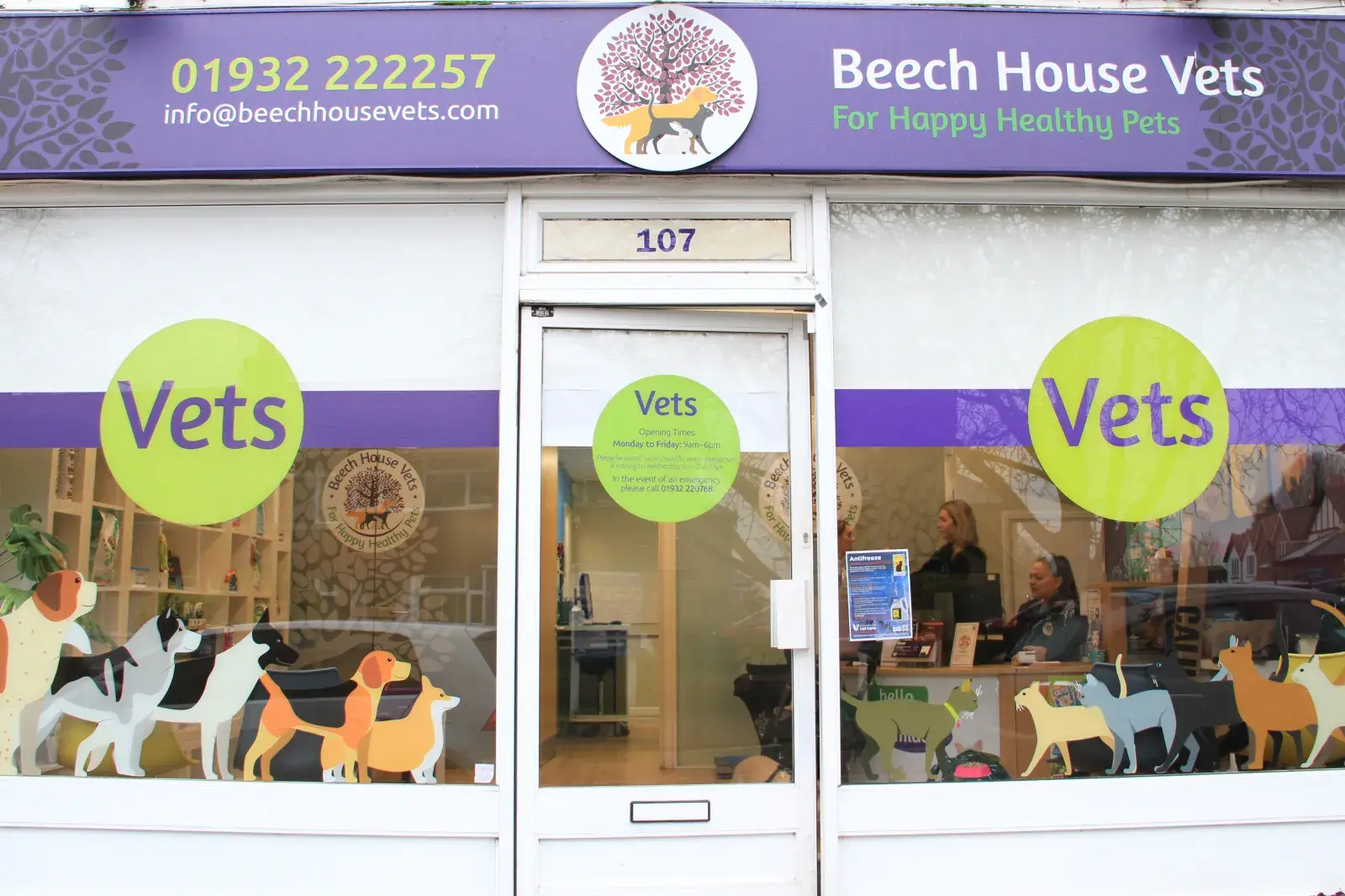 Beech House Vets - Shepperton practice photo