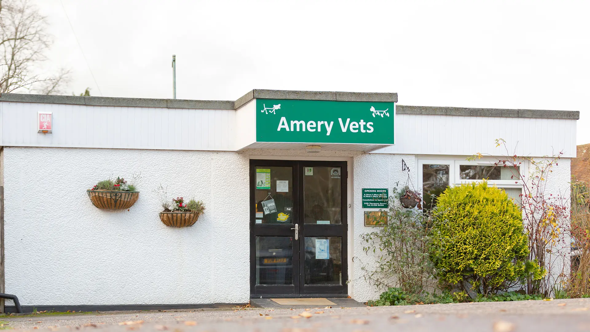 Amery Vets - Alton practice photo