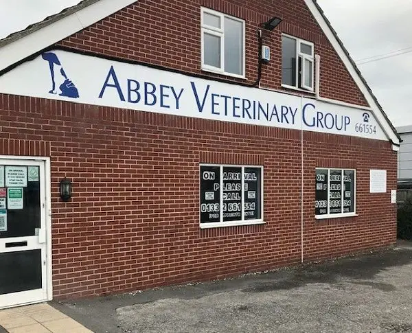 Abbey Vet Group - Chaddesden practice photo