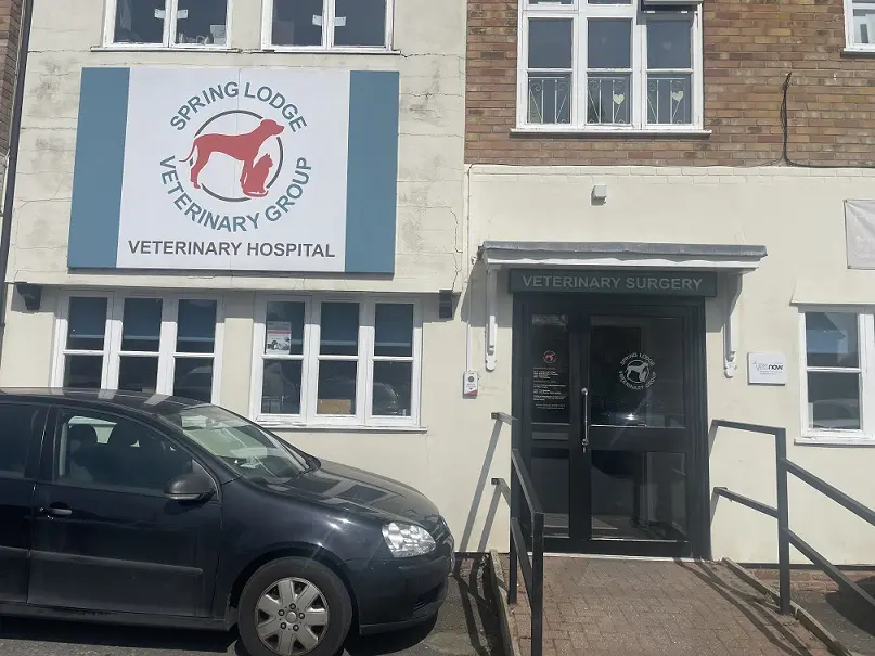 Exterior view of Vets Now Witham host practice