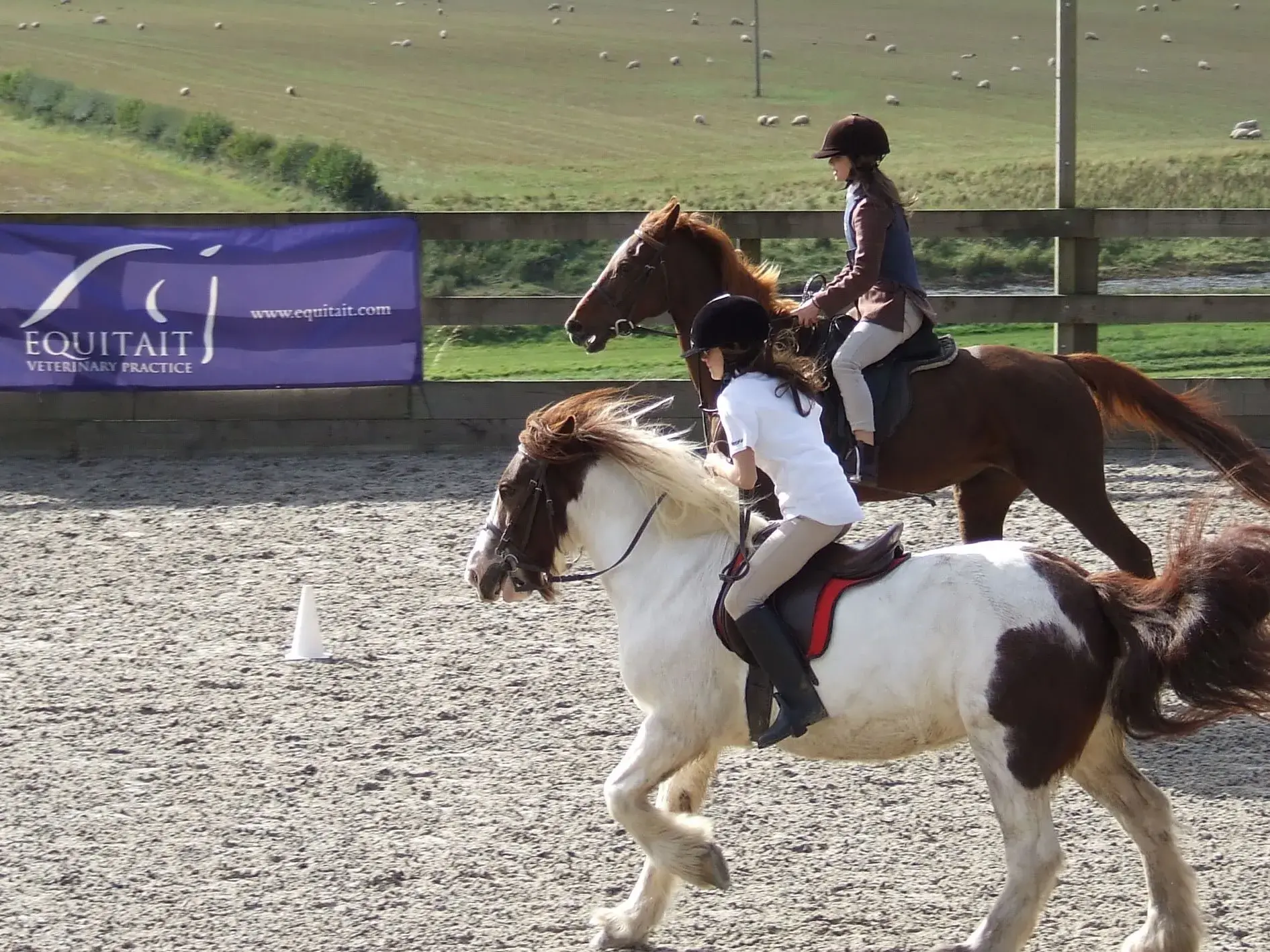 Equitait Veterinary Practice - Duns practice photo 2