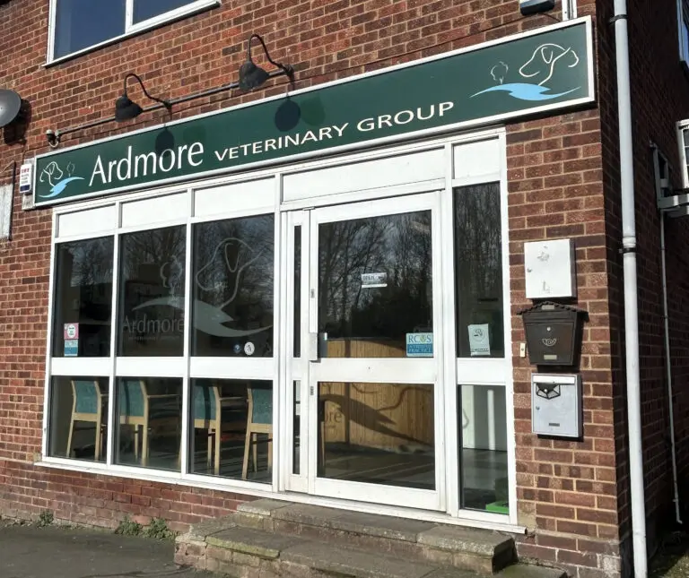 Ardmore Vets - Great Yeldham practice photo