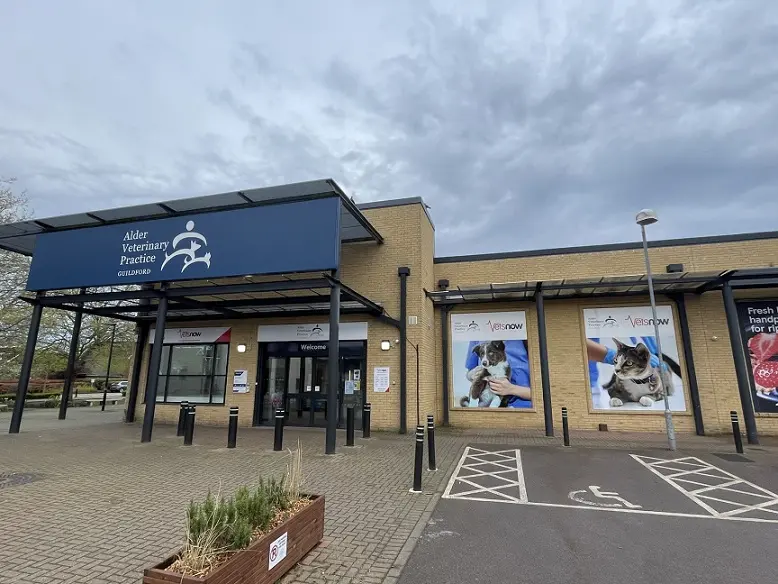 Exterior view of Vets Now Guildford host practice