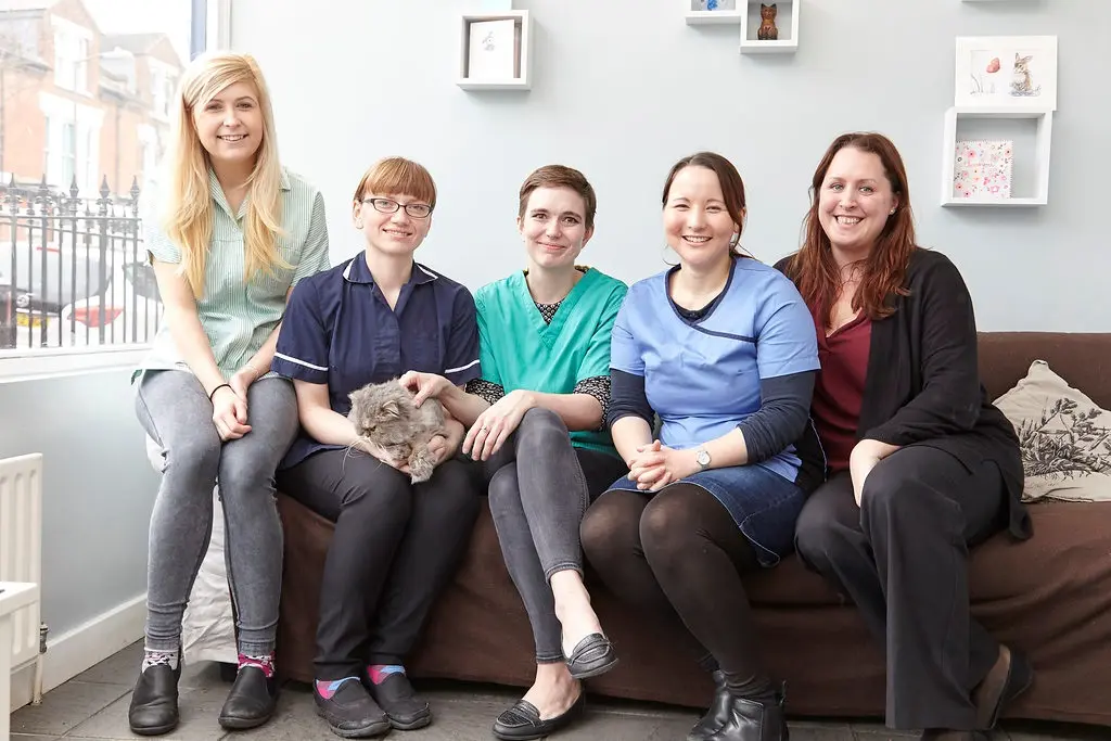 Voo Vets - Wandsworth practice photo