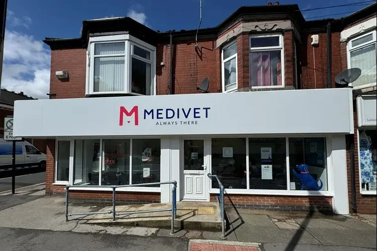 Medivet - Hull the Avenues (Chants Vets) practice photo