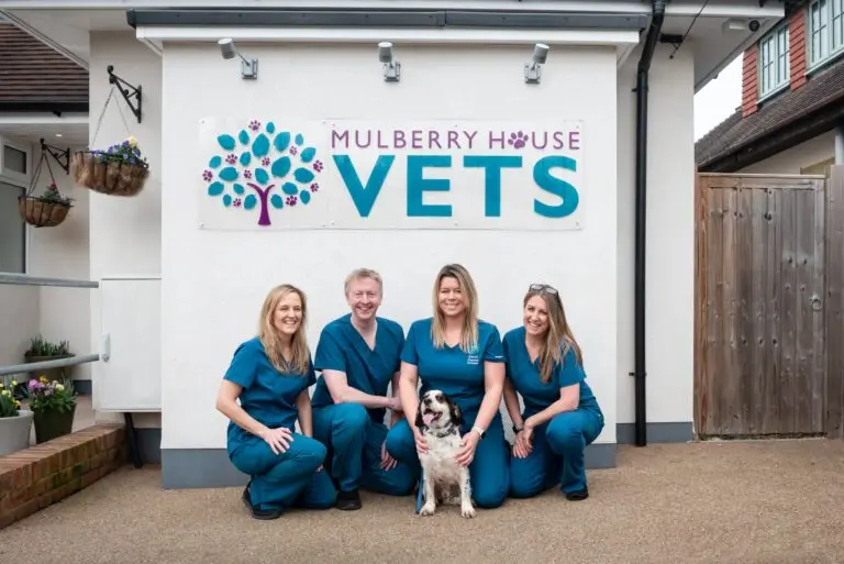 Mulberry House Vets - Wokingham practice photo 2