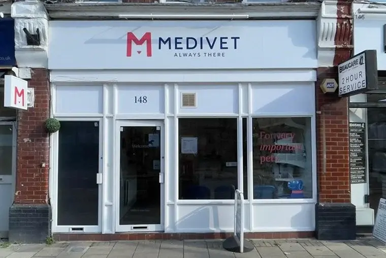 Medivet - Twickenham practice photo