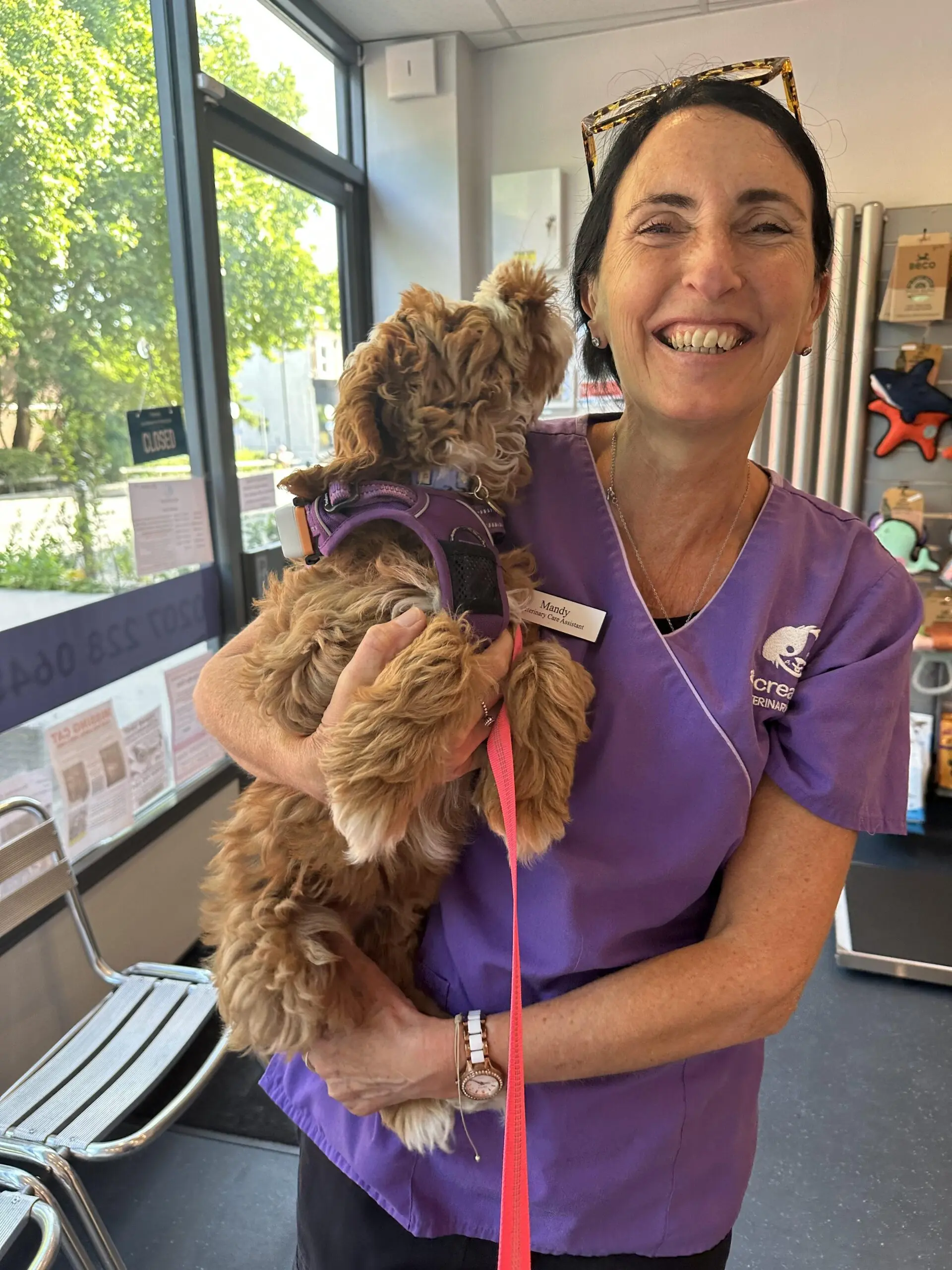 All Creatures Veterinary Surgery practice photo
