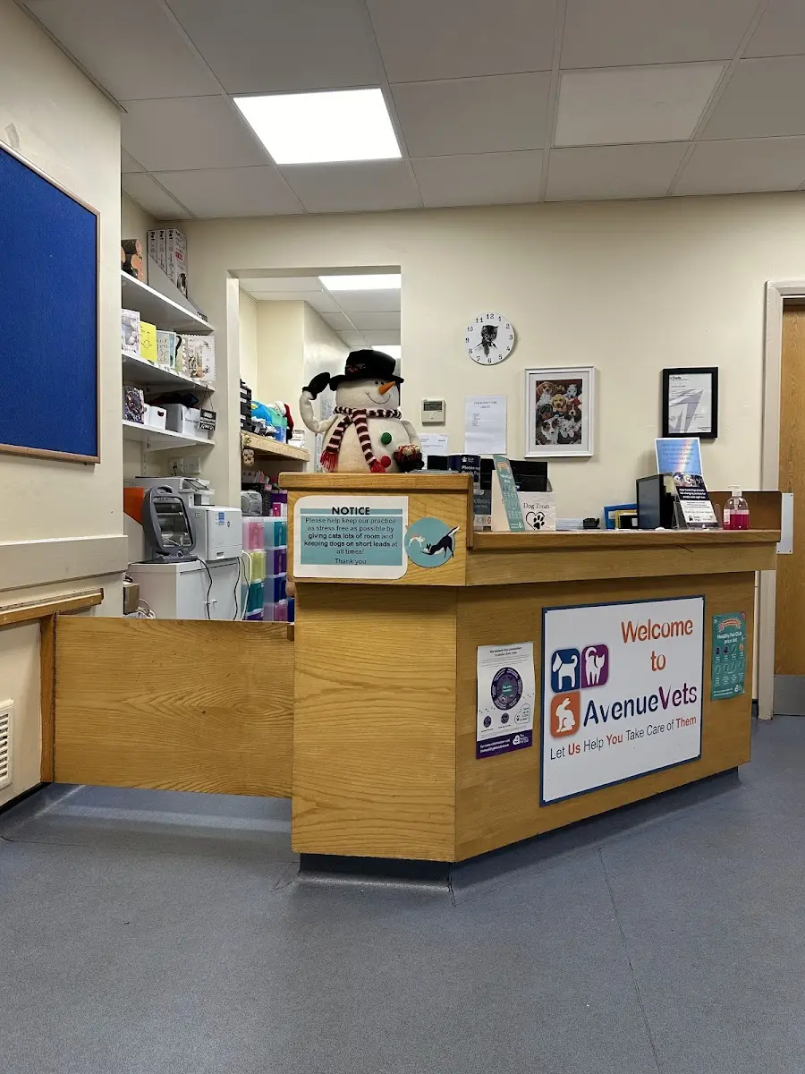 Avenue Road Veterinary Surgery Google Places photo 2 (Photo: Eleena PK)