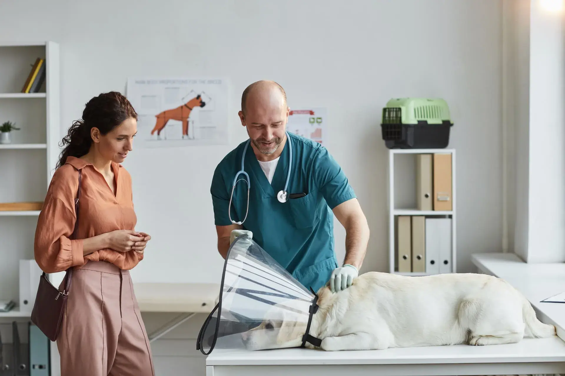 Ambion Veterinary Centre practice photo