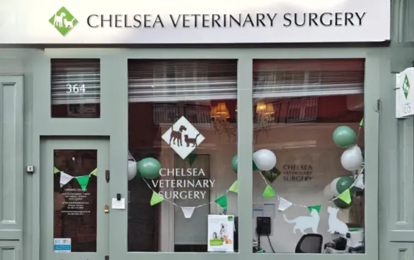 Chelsea Veterinary Surgery storefront