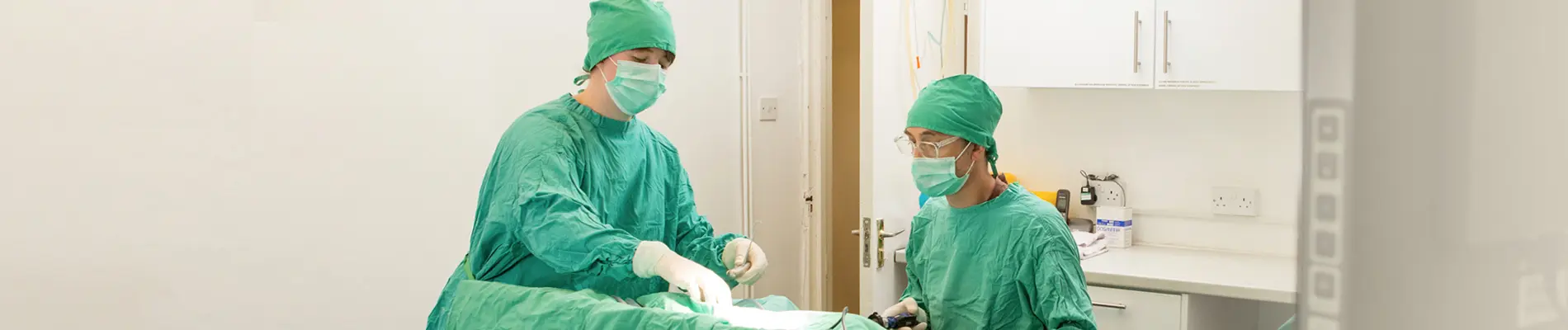 DNA Vetcare - Mead Veterinary Centre practice photo 2
