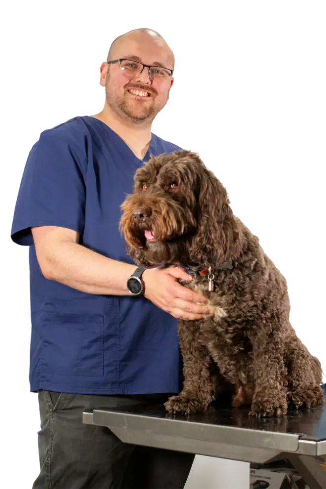 Vet Dr Sean Cleary