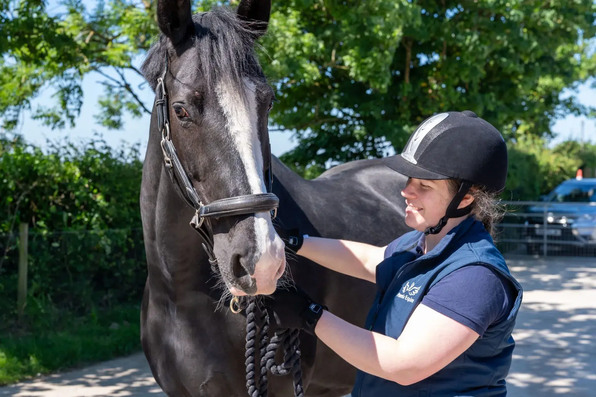 Phoenix Equine - Exeter practice photo 2