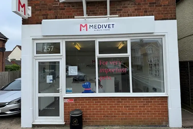 Medivet - Hinckley Coventry Road practice photo