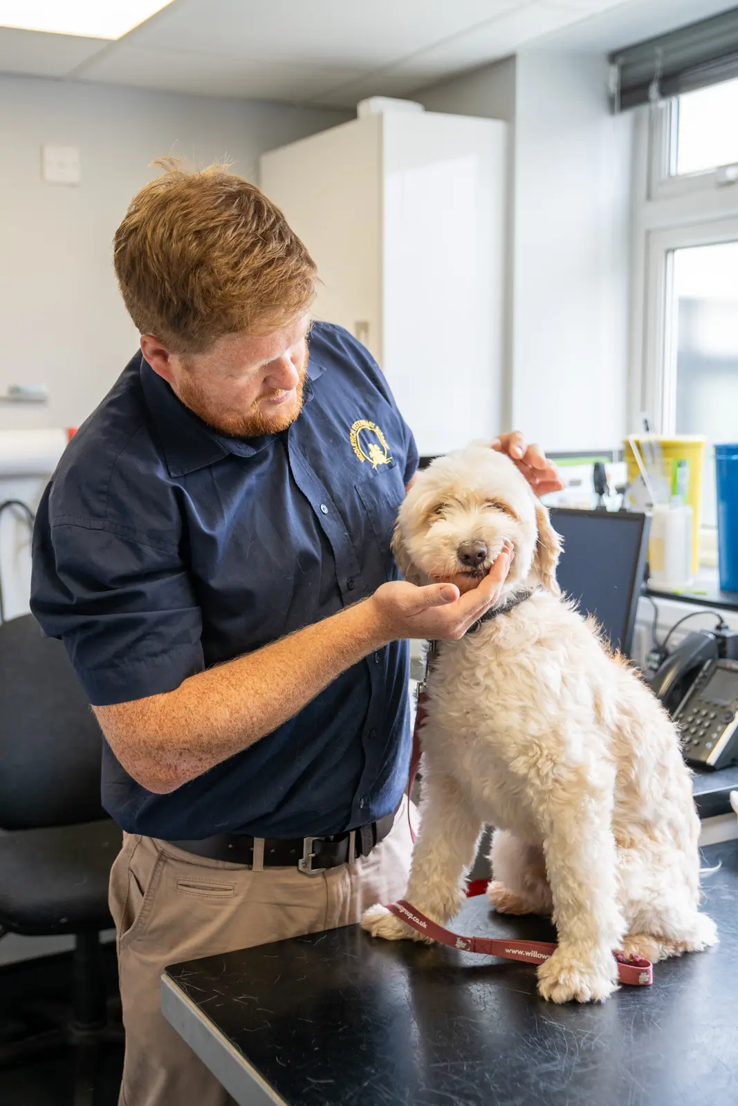 A veterinarian examines a white dog on an examination table in a clinic. The vet is gently checking inside the dog’s mouth. The room is equipped with medical tools and a computer.
